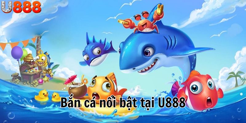 Hòa mình vào đại dương để săn sinh vật hiếm